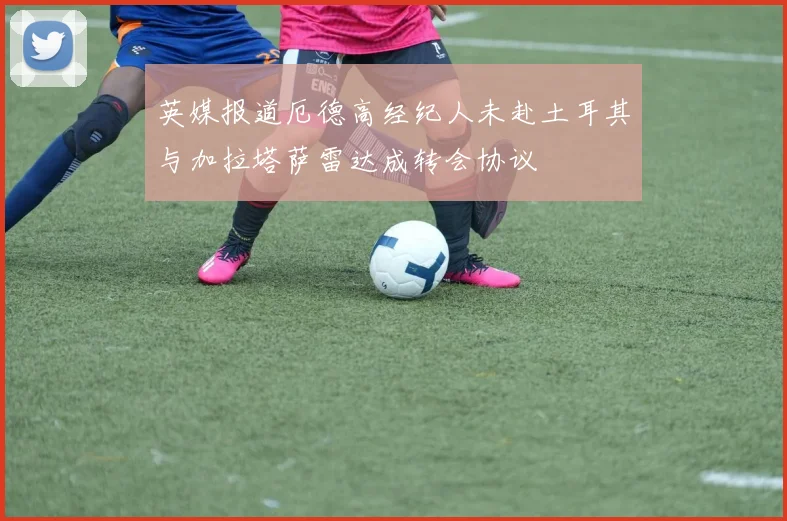 英媒报道厄德高经纪人未赴土耳其与加拉塔萨雷达成转会协议