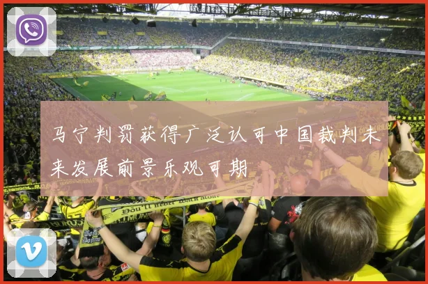 马宁判罚获得广泛认可中国裁判未来发展前景乐观可期