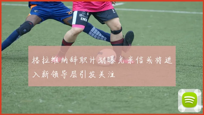 格拉维纳辞职计划曝光亲信或将进入新领导层引发关注